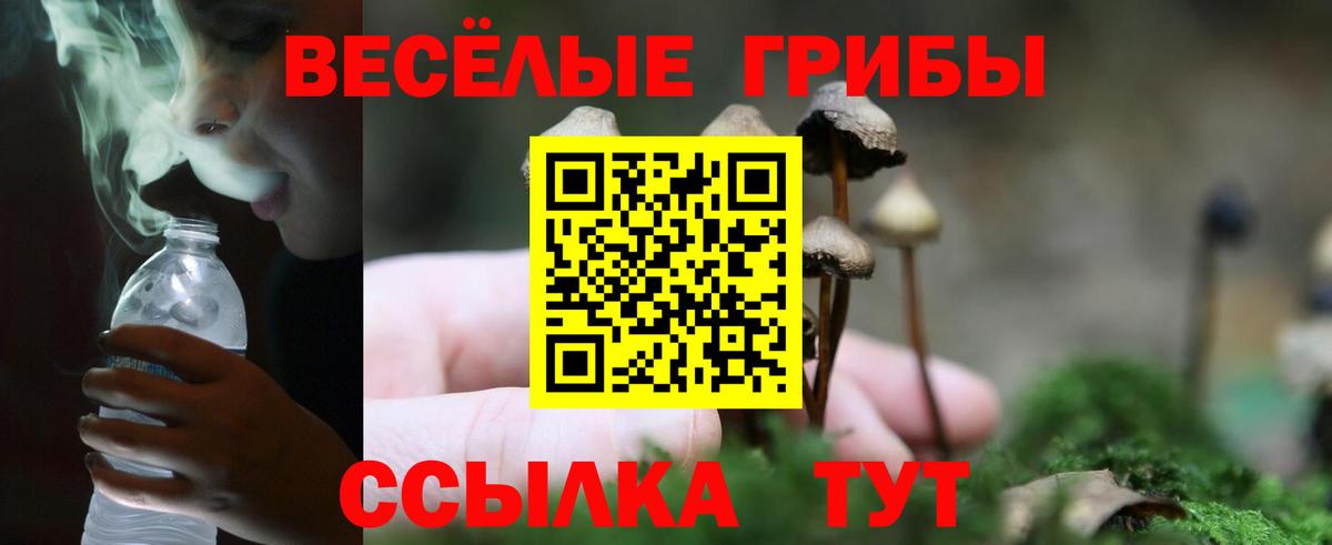 Галлюциногенные грибы прущие грибы Абинск